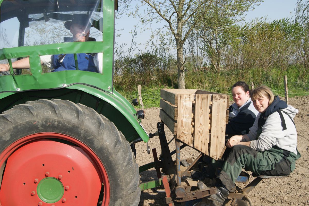 Mit dem Oldtimer über den Acker