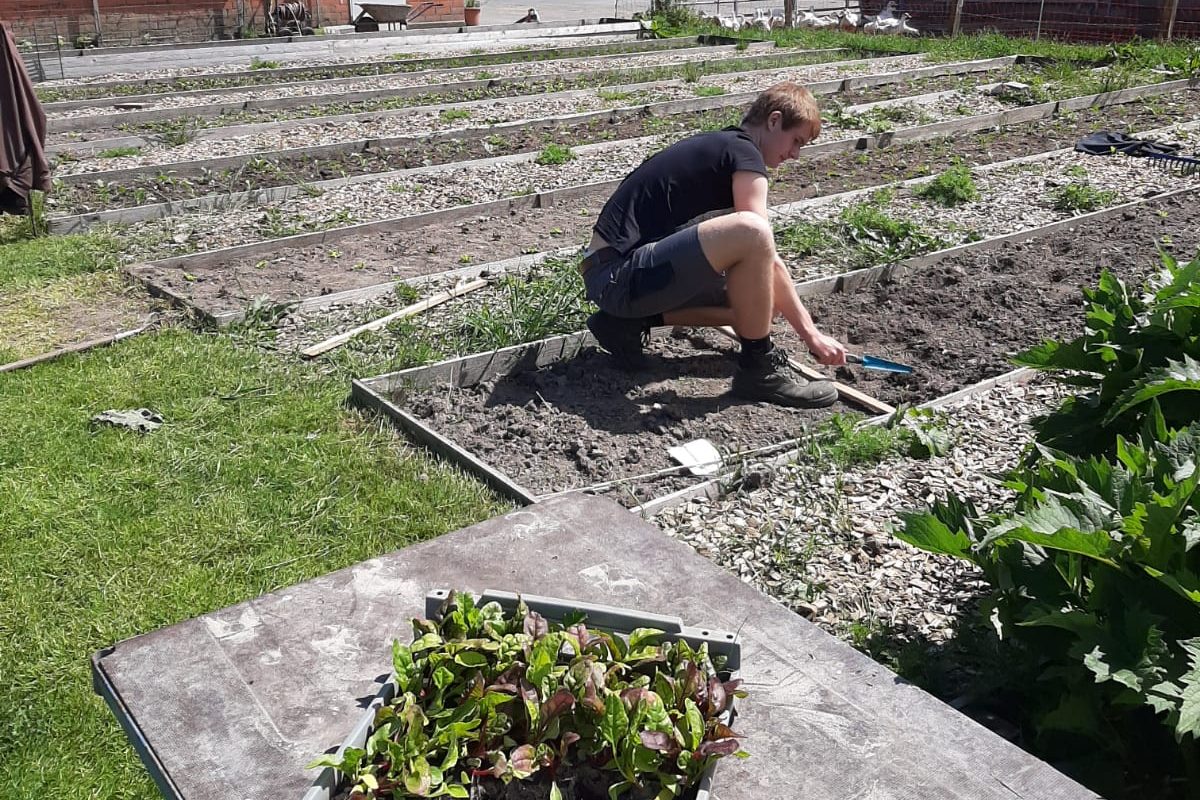 Gemüse nun auch in Bioland-Qualität